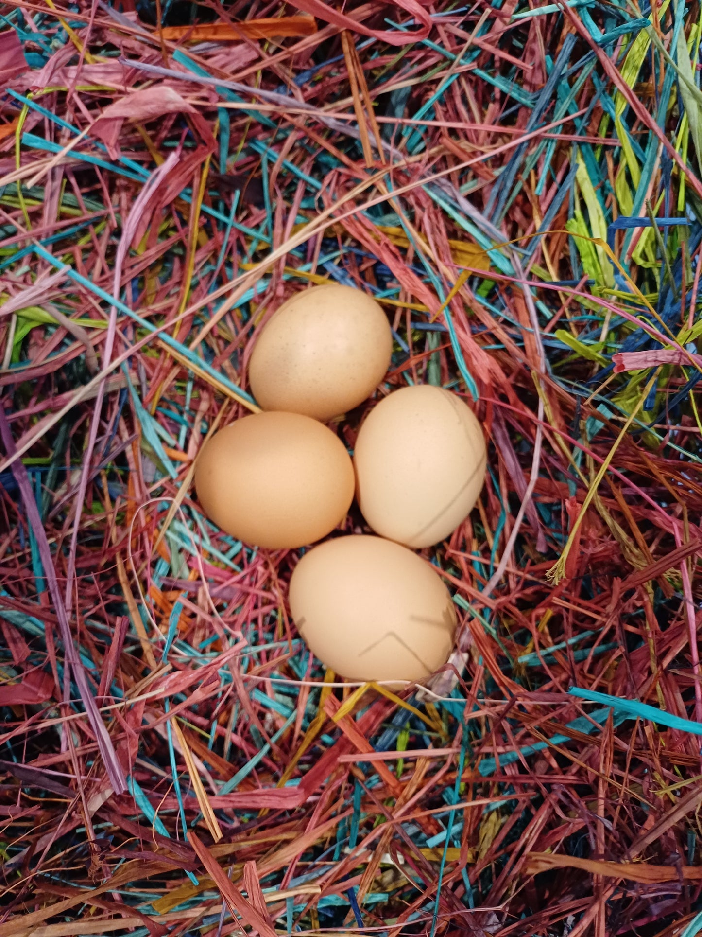 Rainbow Roost (Premium Nesting Material)