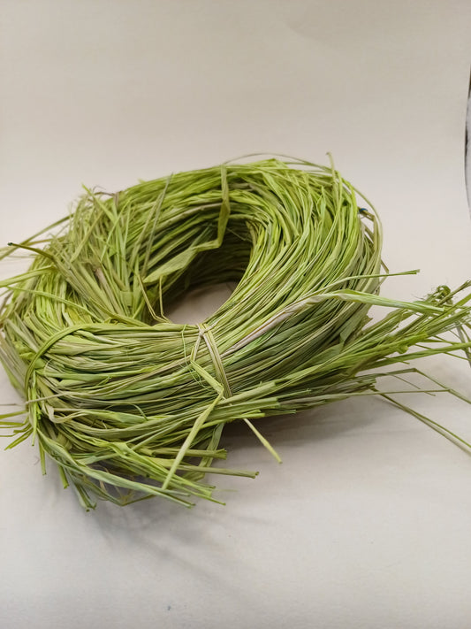 Lime Green Bird Nest
