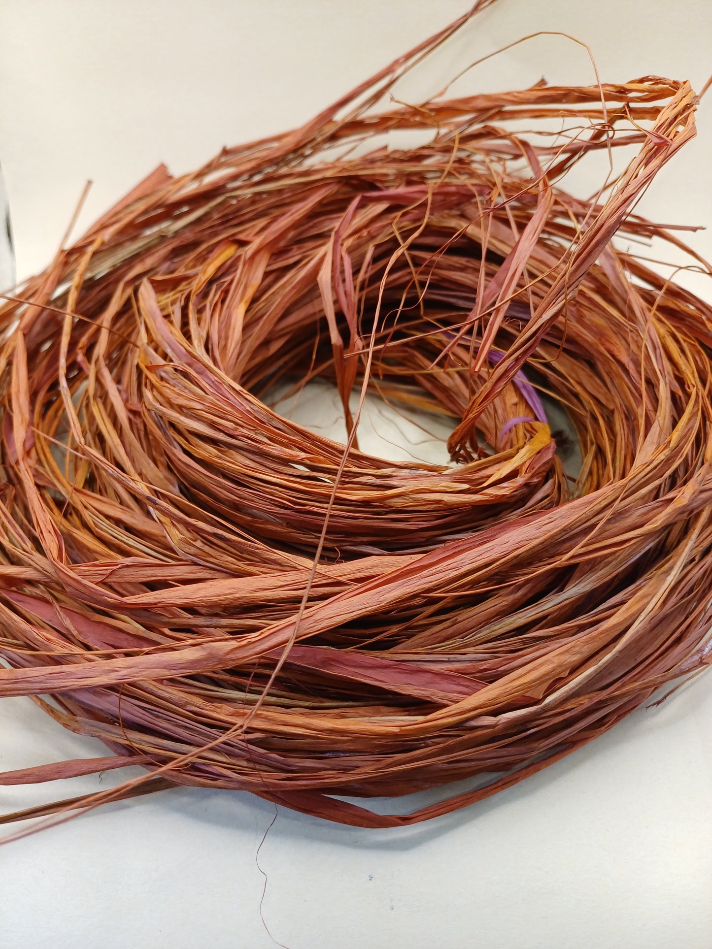 Cinnamon Bird Nest