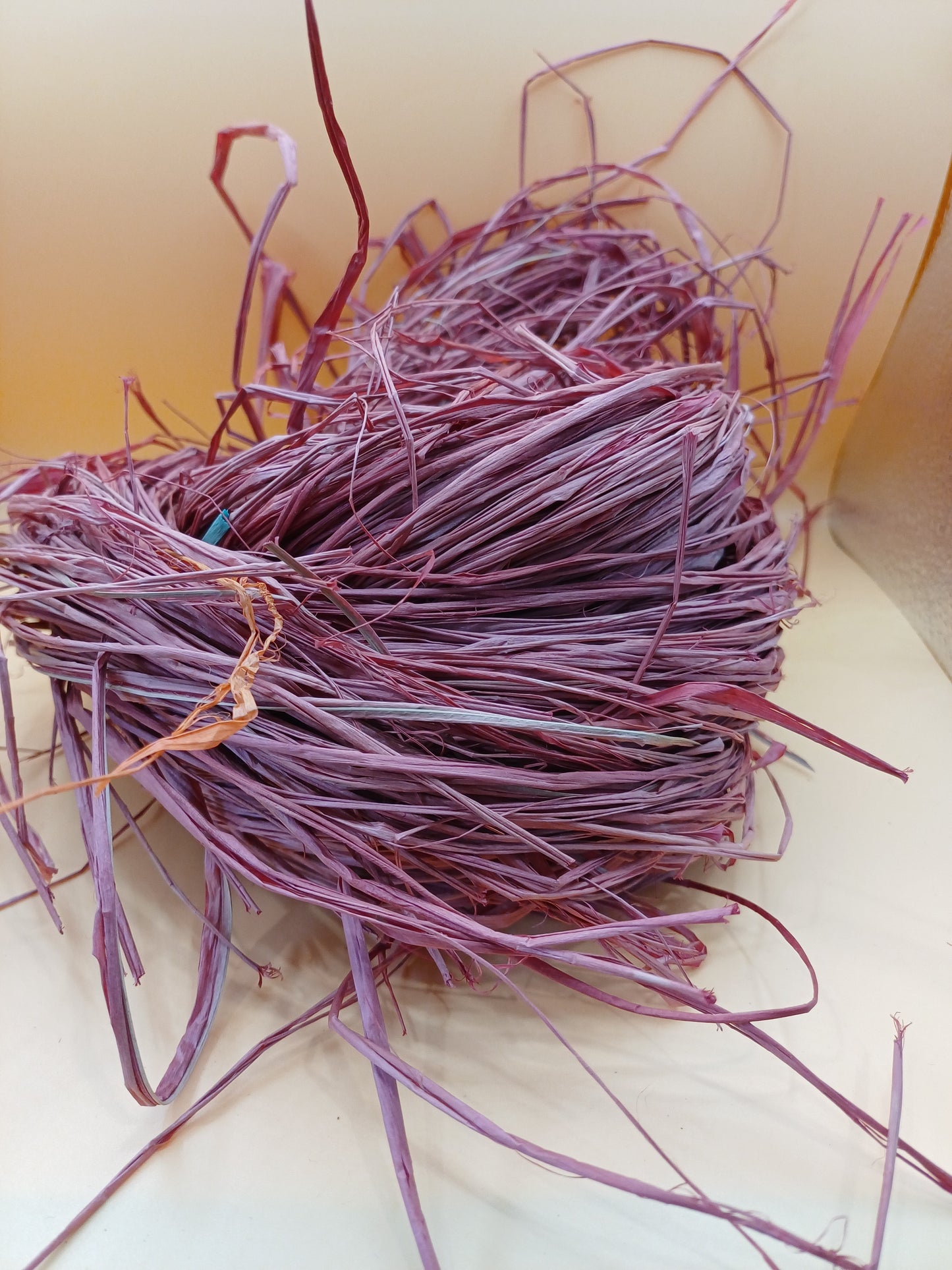 Nutmeg Bird Nest