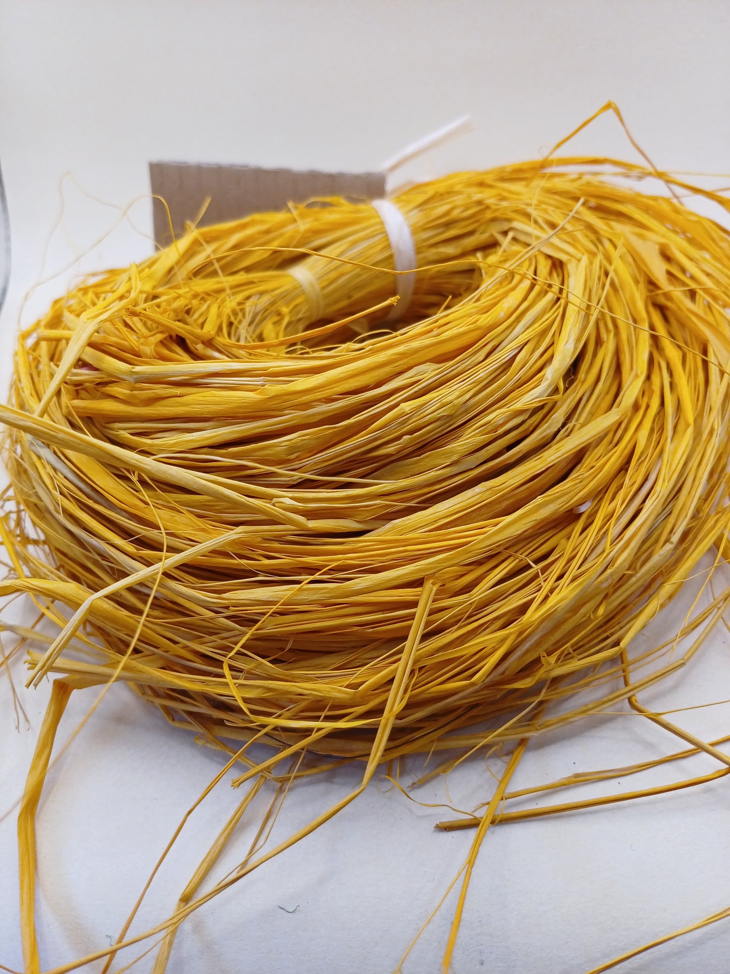 Mango Bird Nest